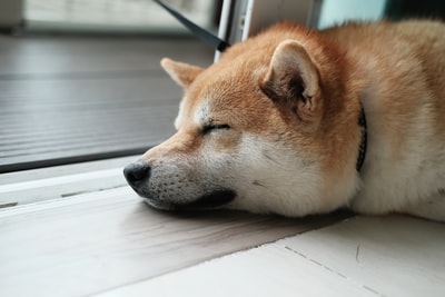 图聚科技